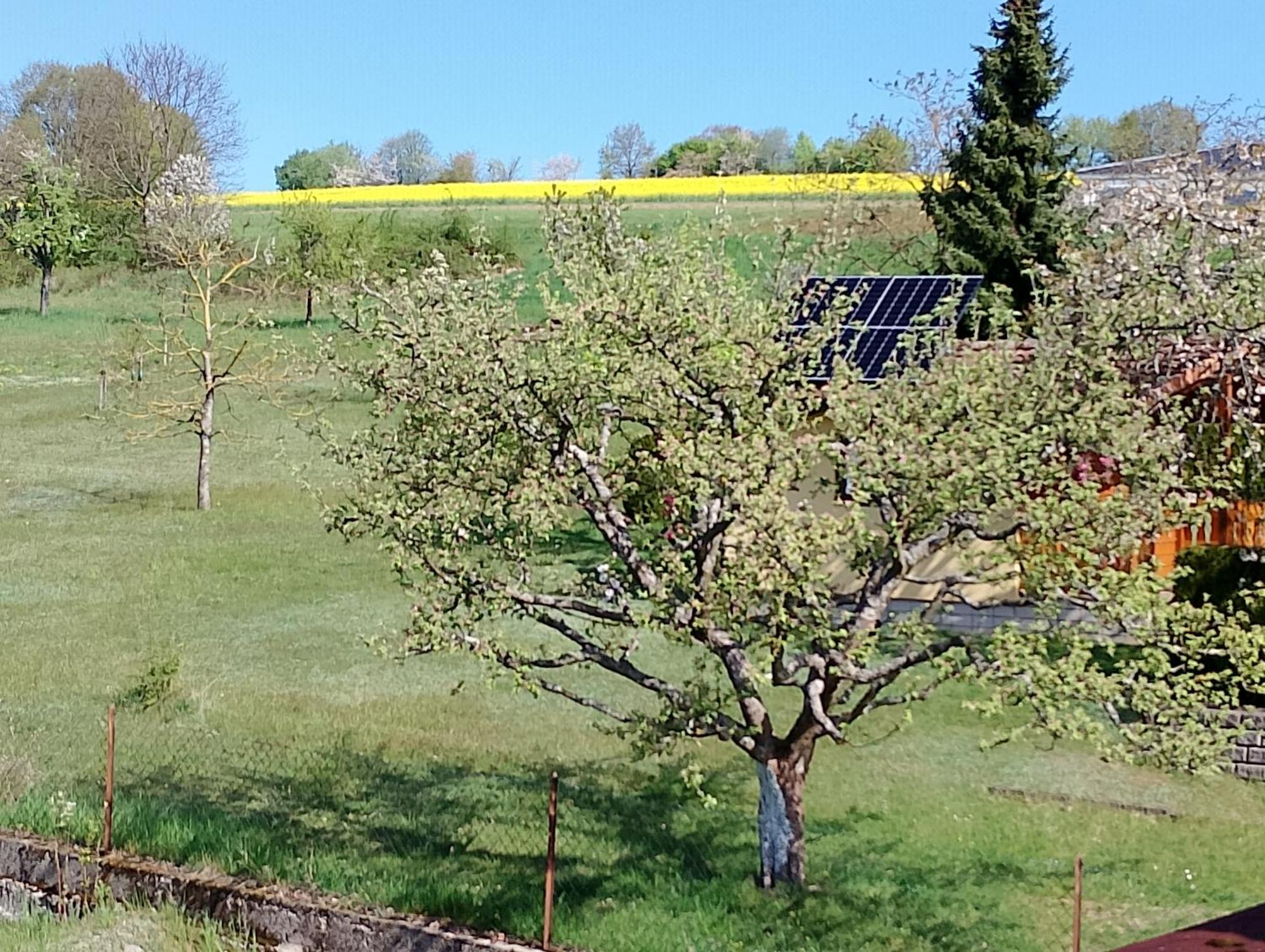 Pension Schmitt Waldfenster Εξωτερικό φωτογραφία