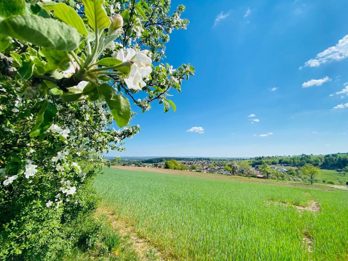 Pension Schmitt Waldfenster Εξωτερικό φωτογραφία